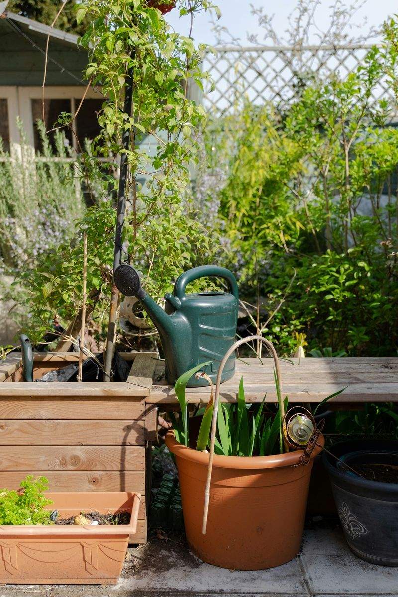 季節の寄せ植え・プランター提案
